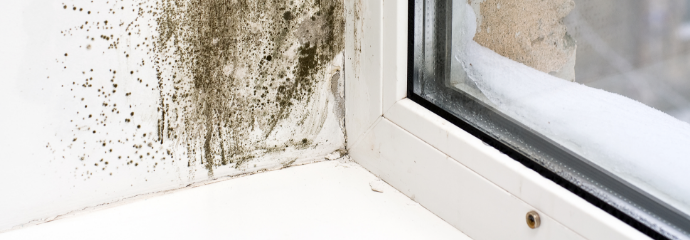 Mold-Remediation--in-Santa-Ana-California-mold-remediation-santa-ana-california.jpg-image